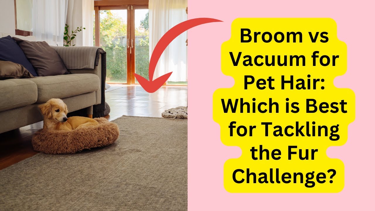 'Video thumbnail for Broom vs Vacuum for Pet Hair: Which is Best for Tackling the Fur Challenge'