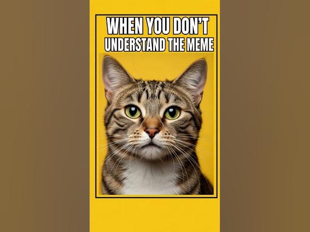 Video thumbnail for #DreamScreenAI #ai #meme #memesdaily