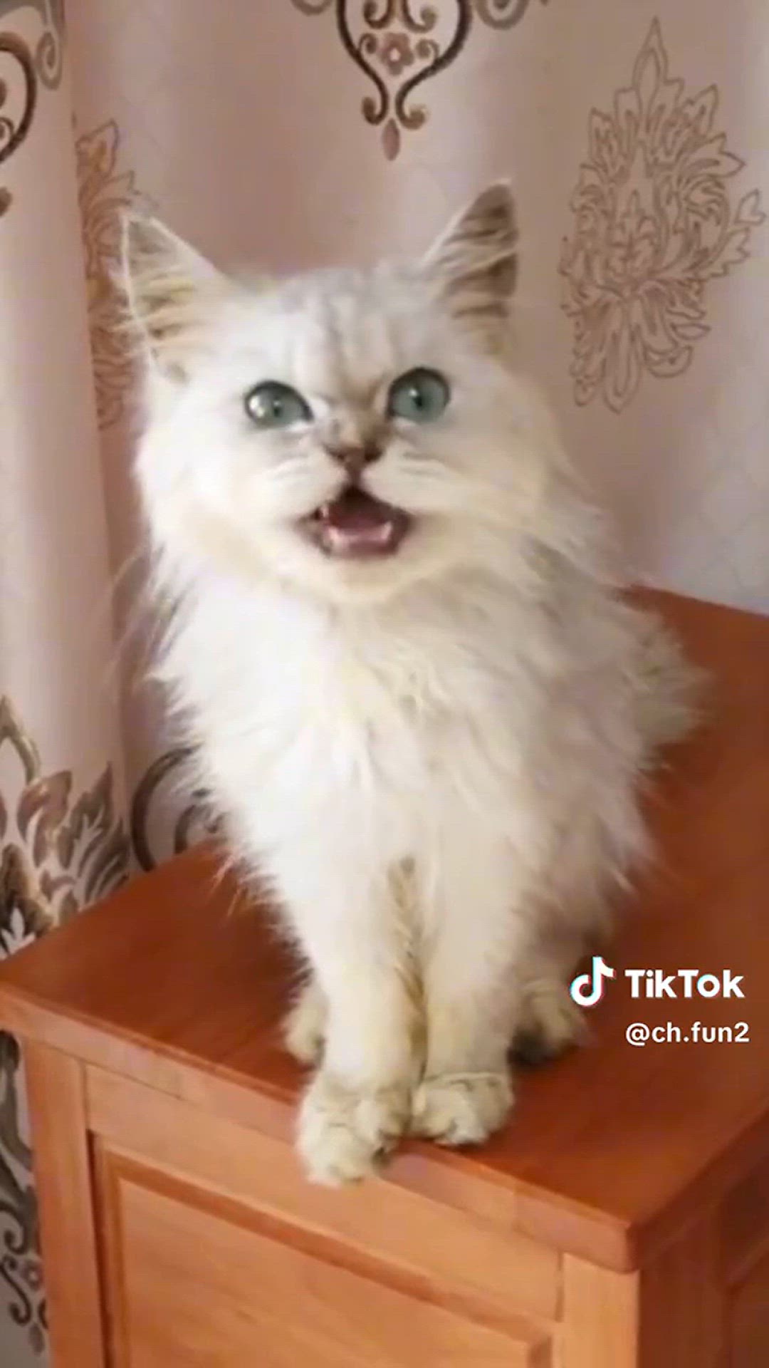 Video thumbnail for video