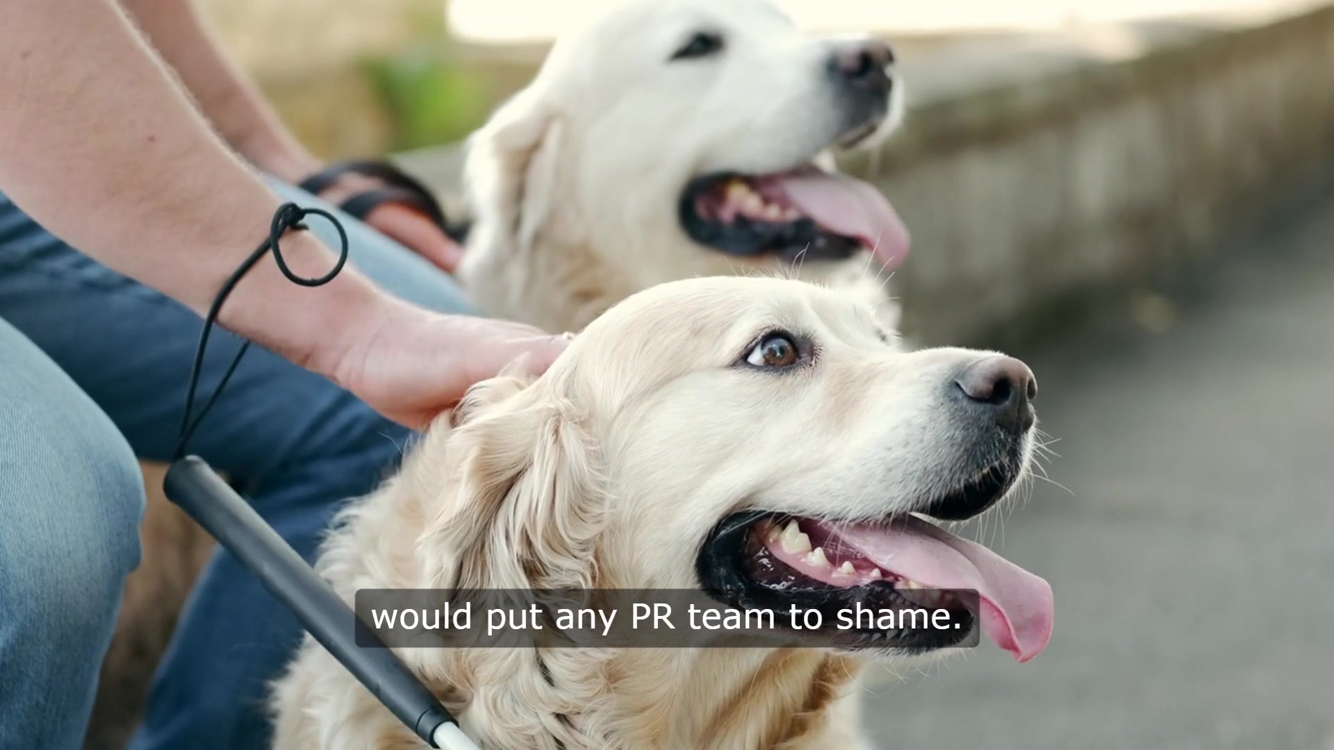 Video thumbnail for The Art of Negotiation: Why My Dog is the Best in the Kingdom