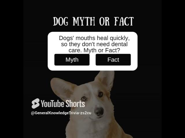 Video thumbnail for 02073