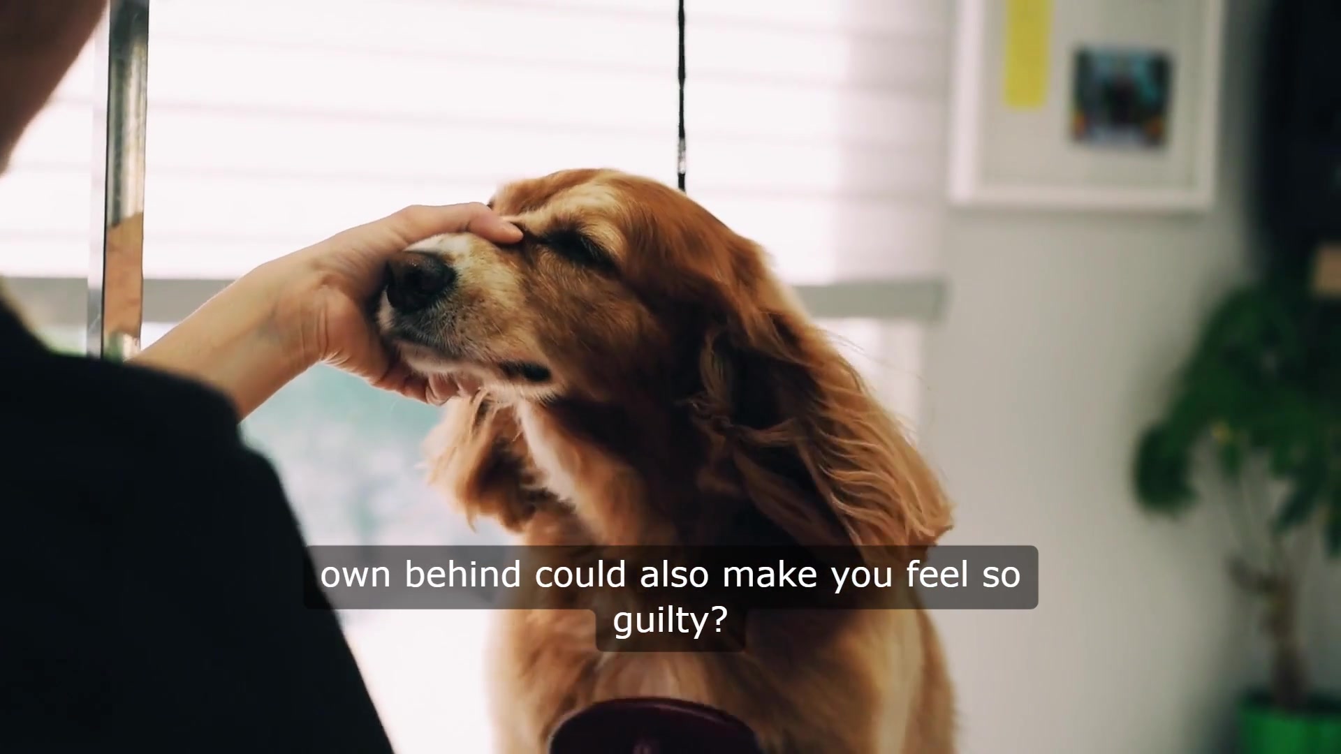 Video thumbnail for Paws and Effect: The Emotional Rollercoaster of Leaving Your Furry Friend Behind