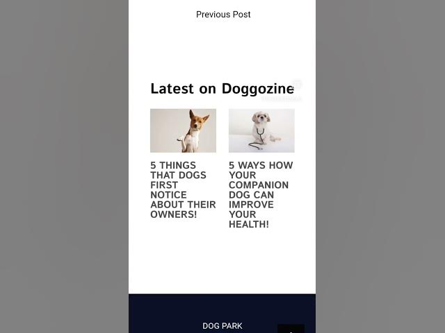 'Video thumbnail for Dog Health - Dog health tips'