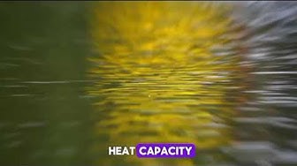 'Video thumbnail for "Dive into Discovery: 10 Fascinating Water Fun Facts | Unveiling Aquatic Wonders"'