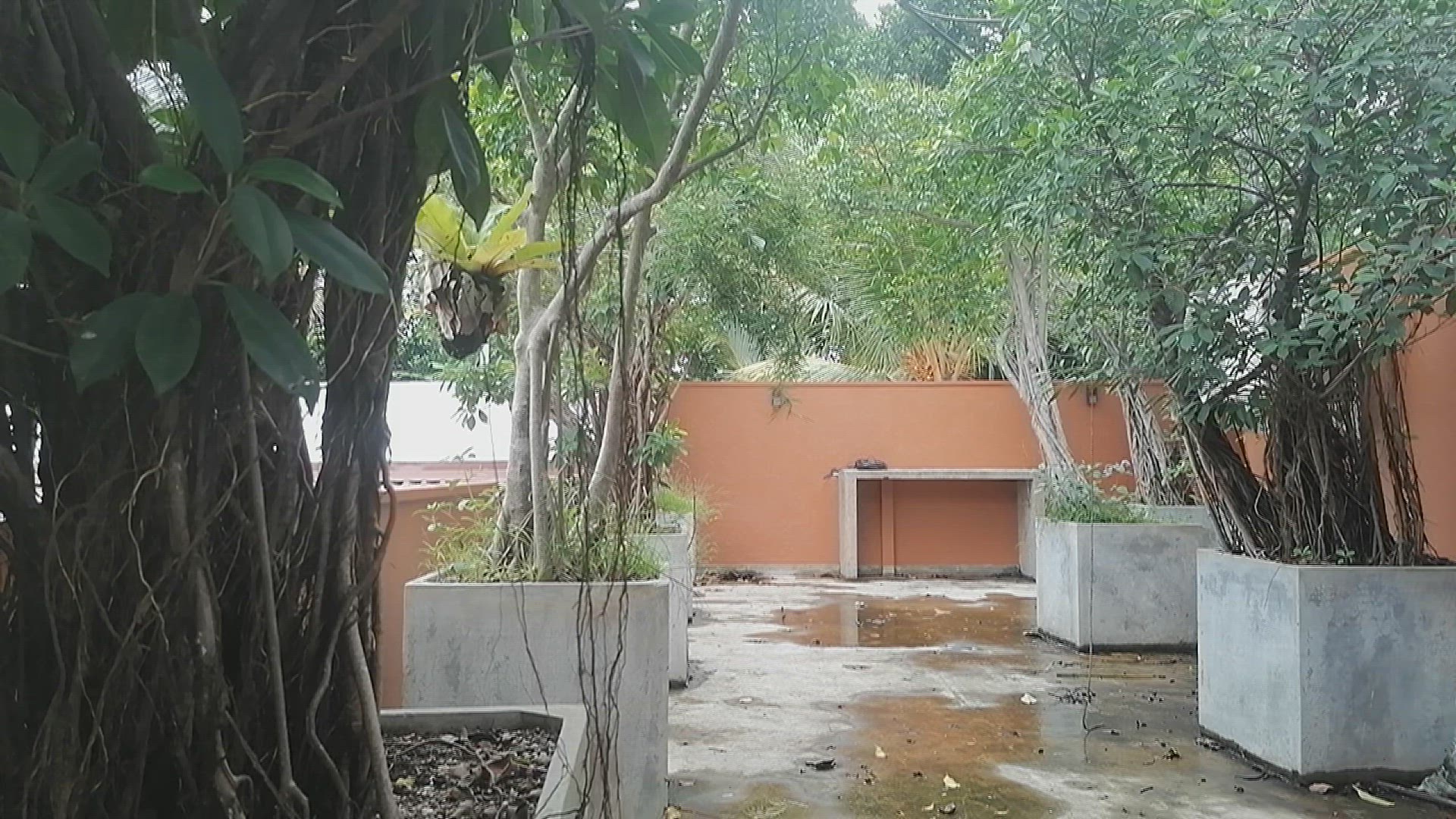 Video thumbnail for Home garden