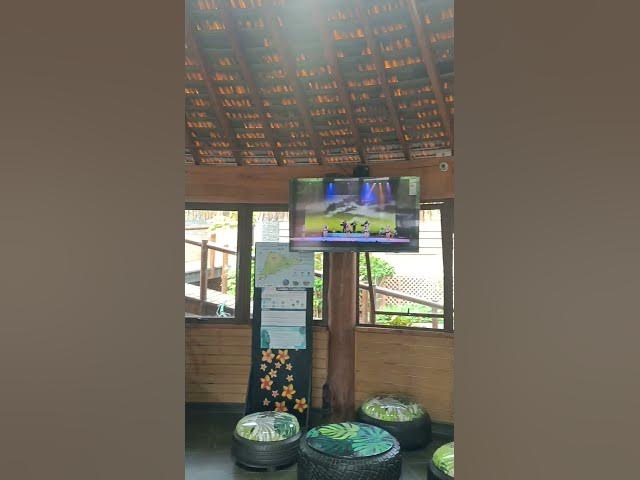 Video thumbnail for Primeros tramites en la Isla de Pascua 🗿#short #travel