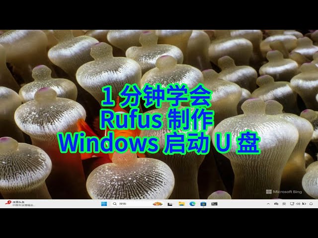 Video thumbnail for 如何用 Rufus 制作 Win10/11 启动 U 盘?