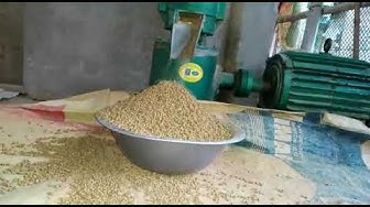 Video thumbnail for ব্রয়লার মুরগির ফিড নিজেই তৈরি করছেন মাগুরার রাগিব ভাই