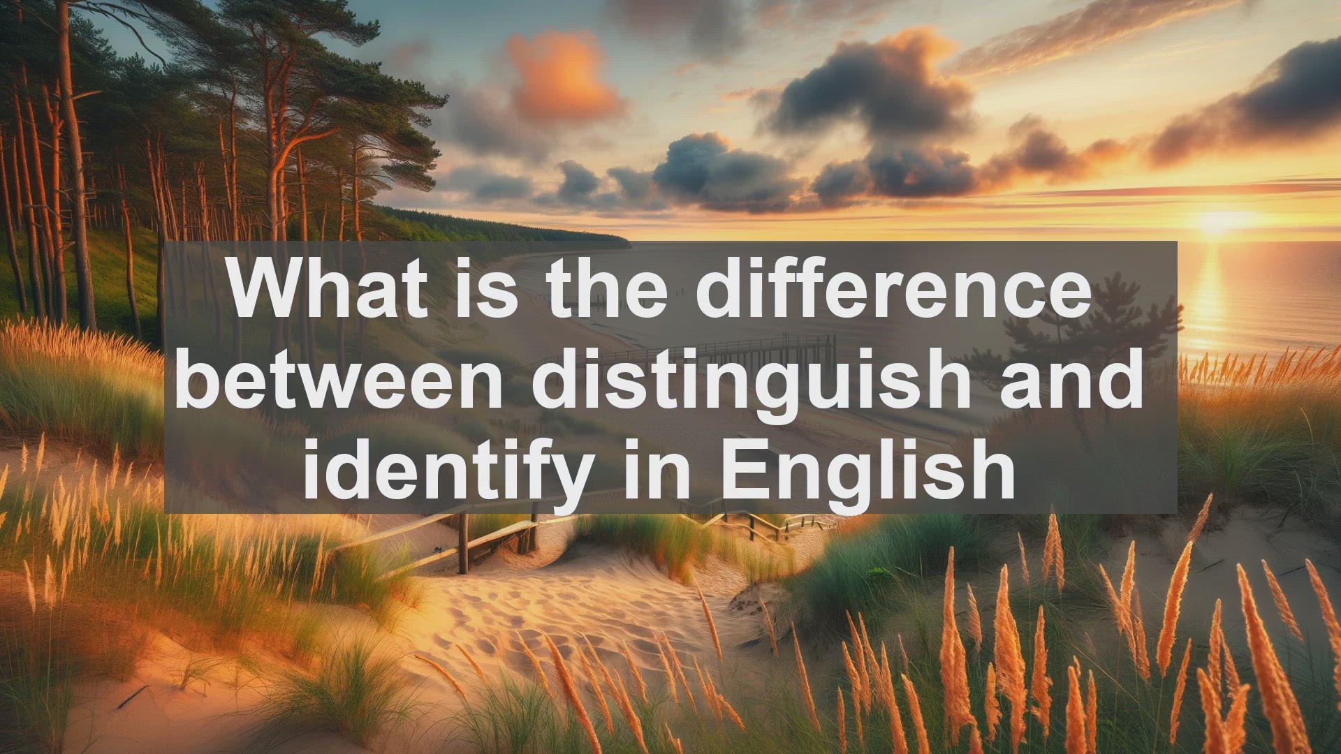 'Video thumbnail for What is the difference between distinguish and identify in English?'