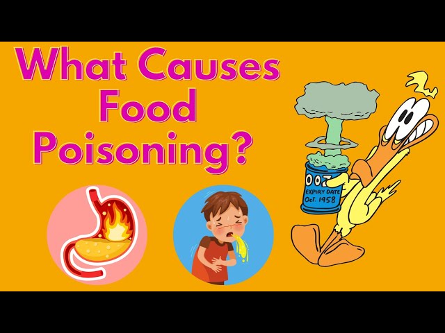 Video thumbnail for How To prevent food poisoning