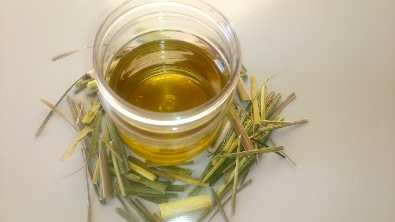 'Video thumbnail for How to make lemongrass Oil at home'