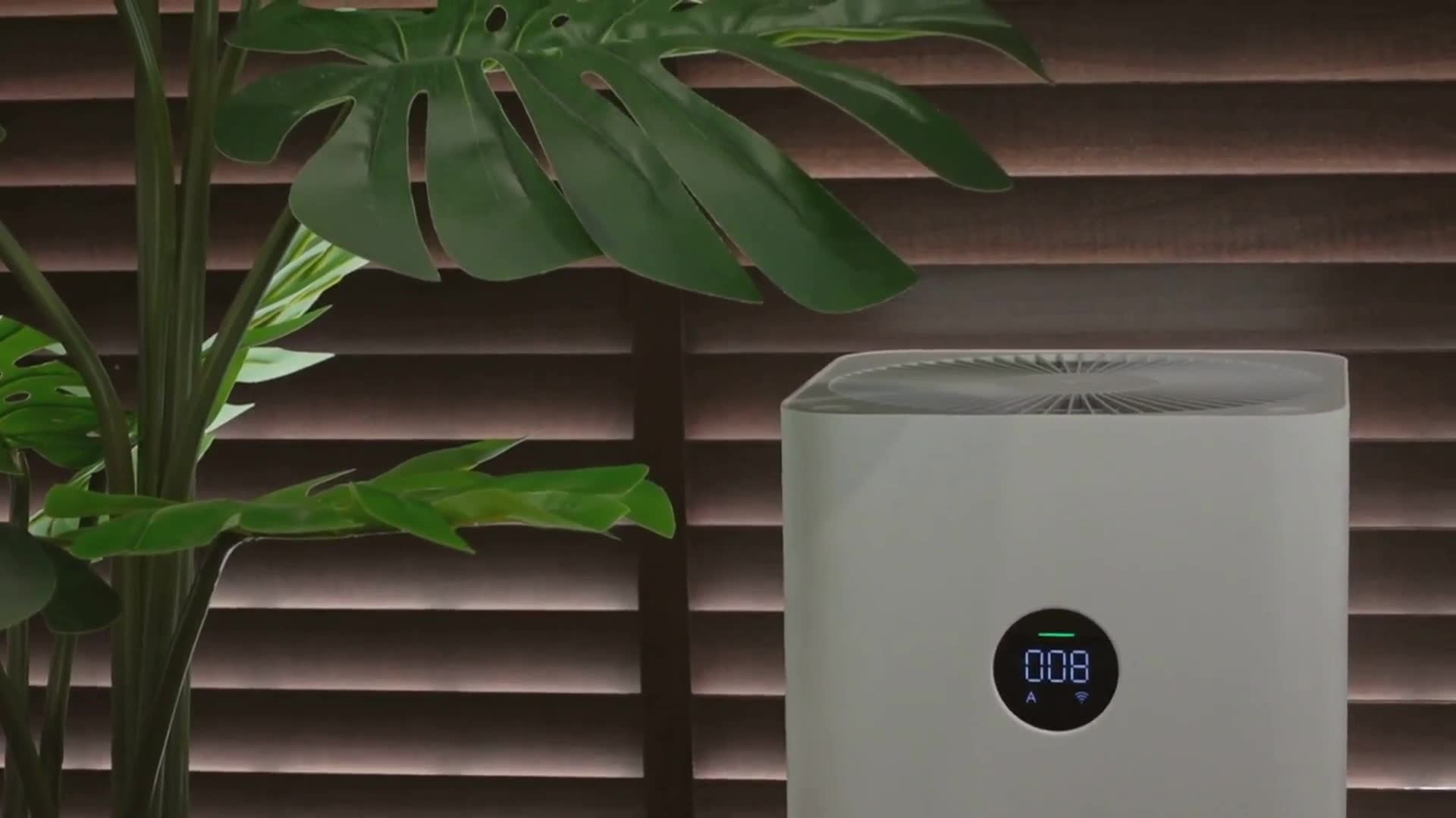 Video thumbnail for Revolutionize Your Home's Air Quality