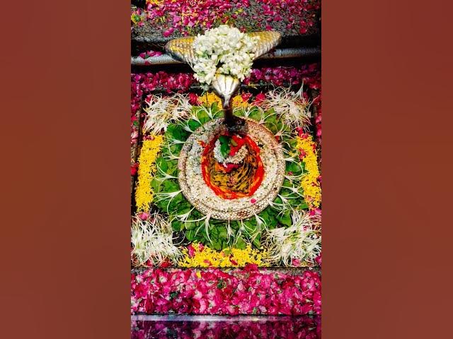 Video thumbnail for Omkareshwar jyotirlinga, morning shrangar darshan #omkareshwar #jyotirlinga #jyotirlinga_darshan