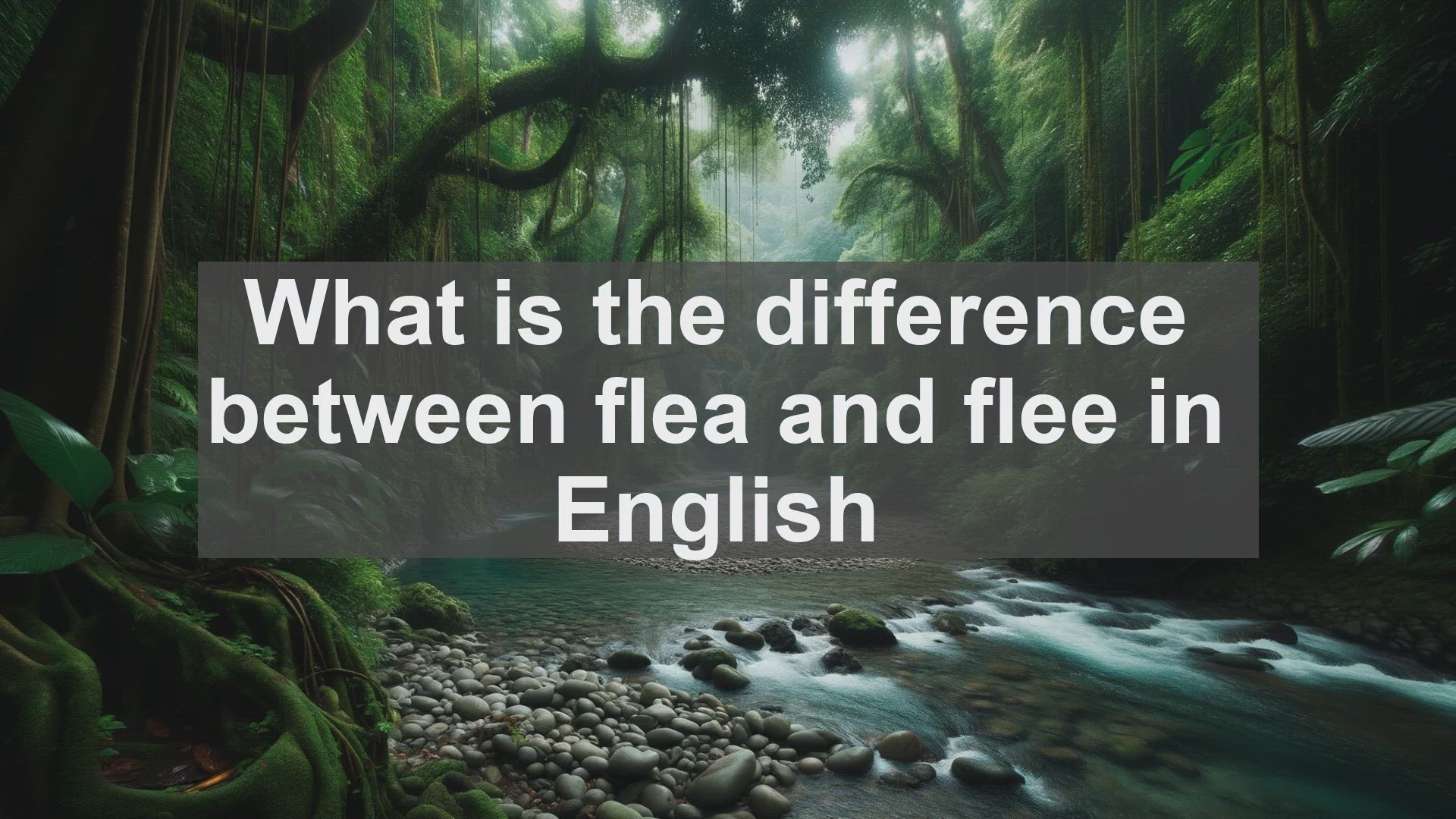 'Video thumbnail for What is the difference between flea and flee in English?'