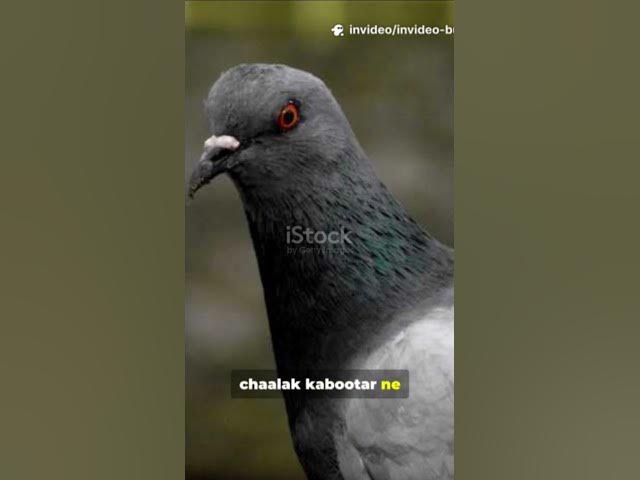 Video thumbnail for #Tittle ~