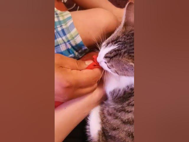 Video thumbnail for 🤣🤣🤣🤣🤣