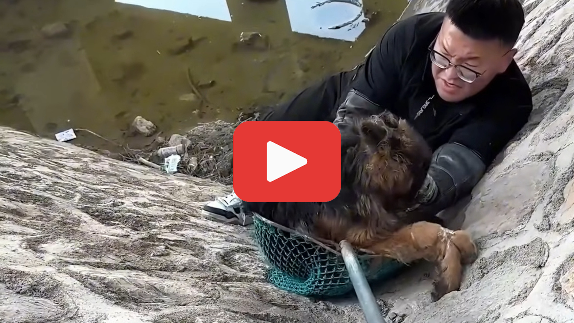 'Video thumbnail for Left to Die, This Fragile Puppy Refused to Give Up'
