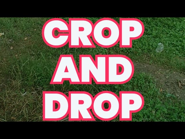 'Video thumbnail for Crop and Drop Tutorial by Tao Doggo'