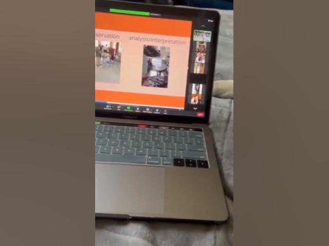 'Video thumbnail for Dog on zoom meeting! #funnyzoommeeting #funnydog #sillydog #attentiondog doggos #cutestdogs'