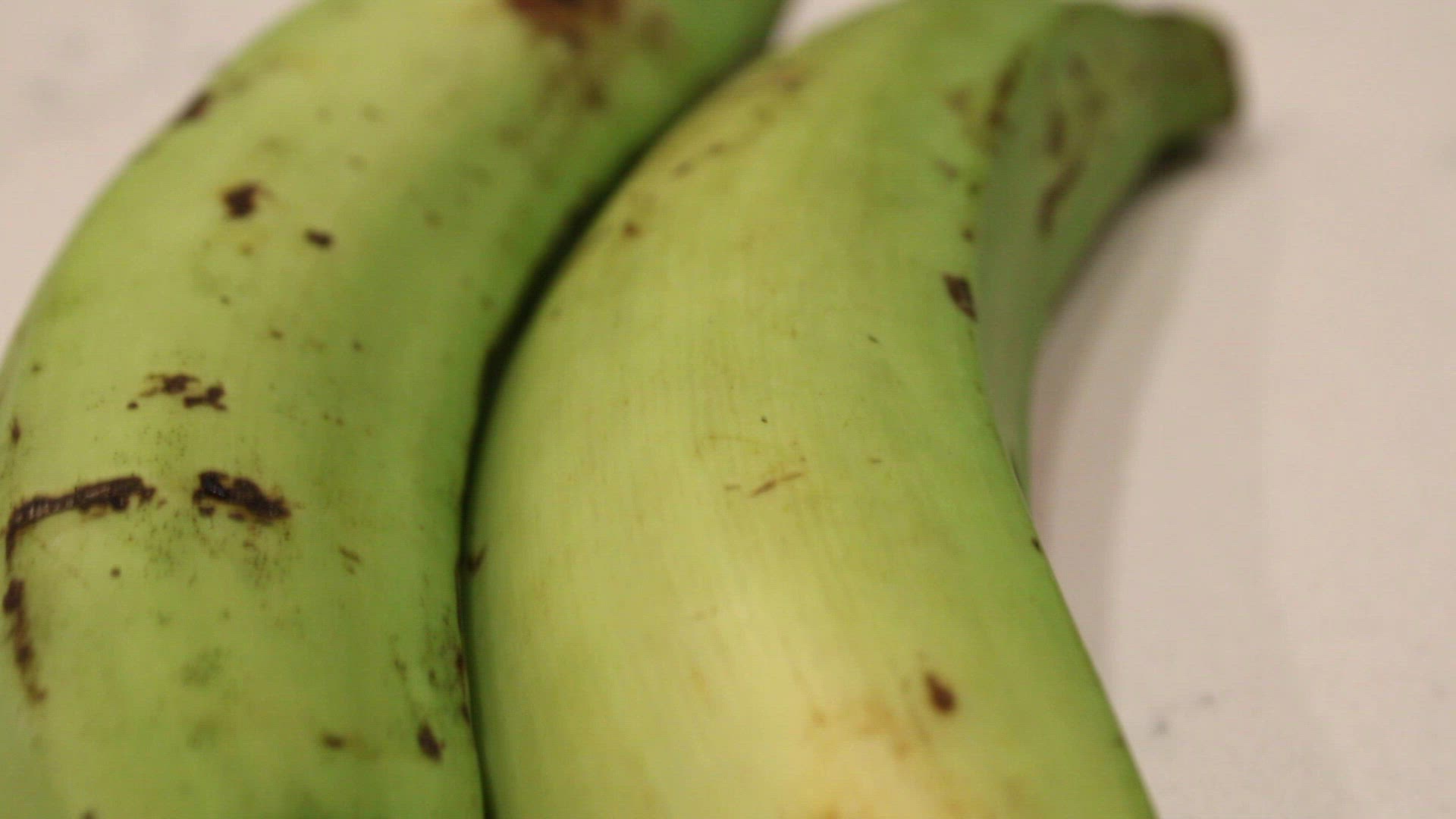 Video thumbnail for Fried plaintains