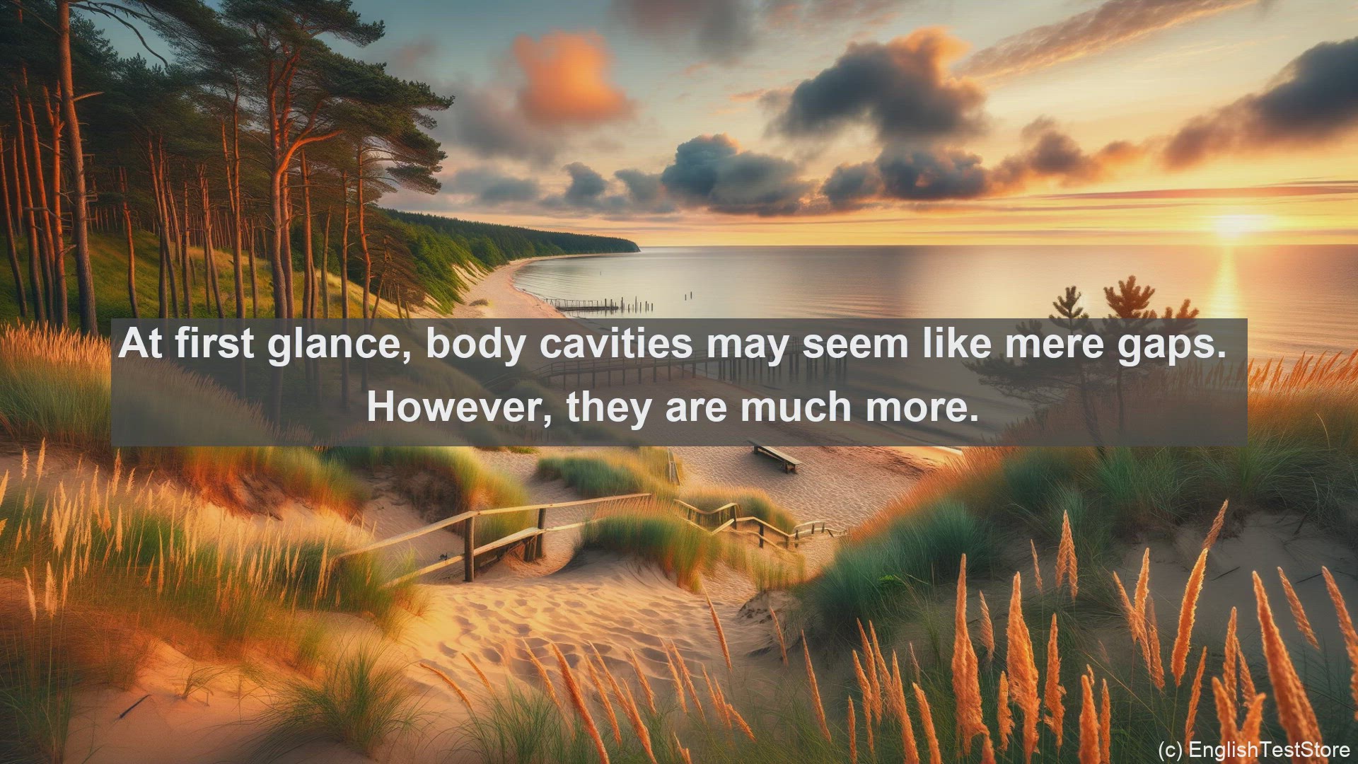 'Video thumbnail for Body cavity in science  definition and examples'