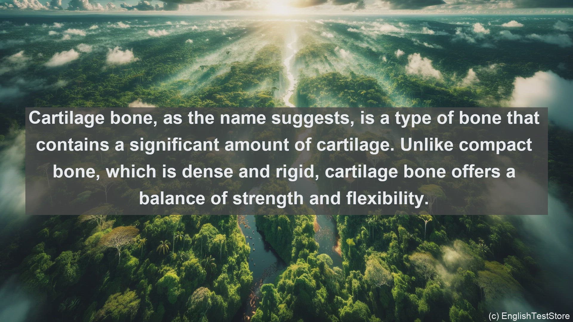 'Video thumbnail for Cartilage bone in science  definition and examples'