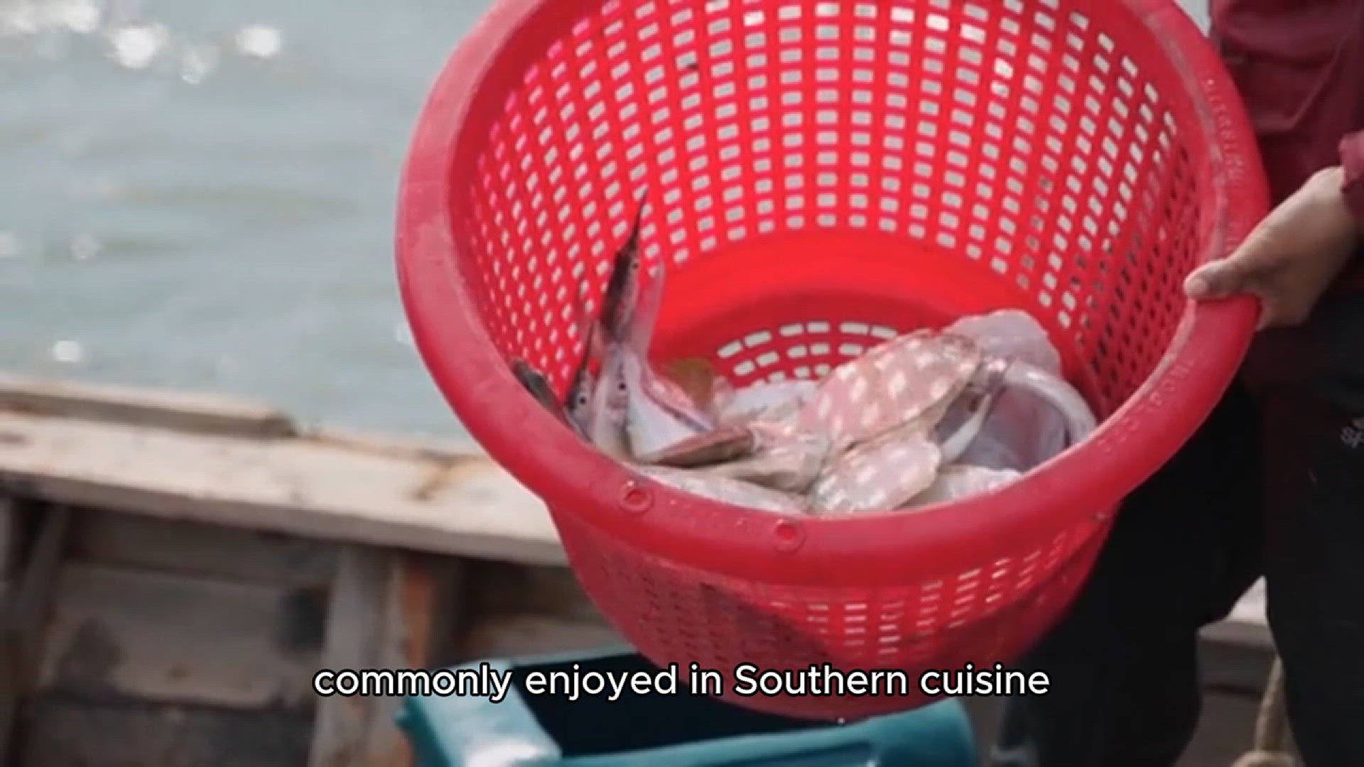 Video thumbnail for Crayfish