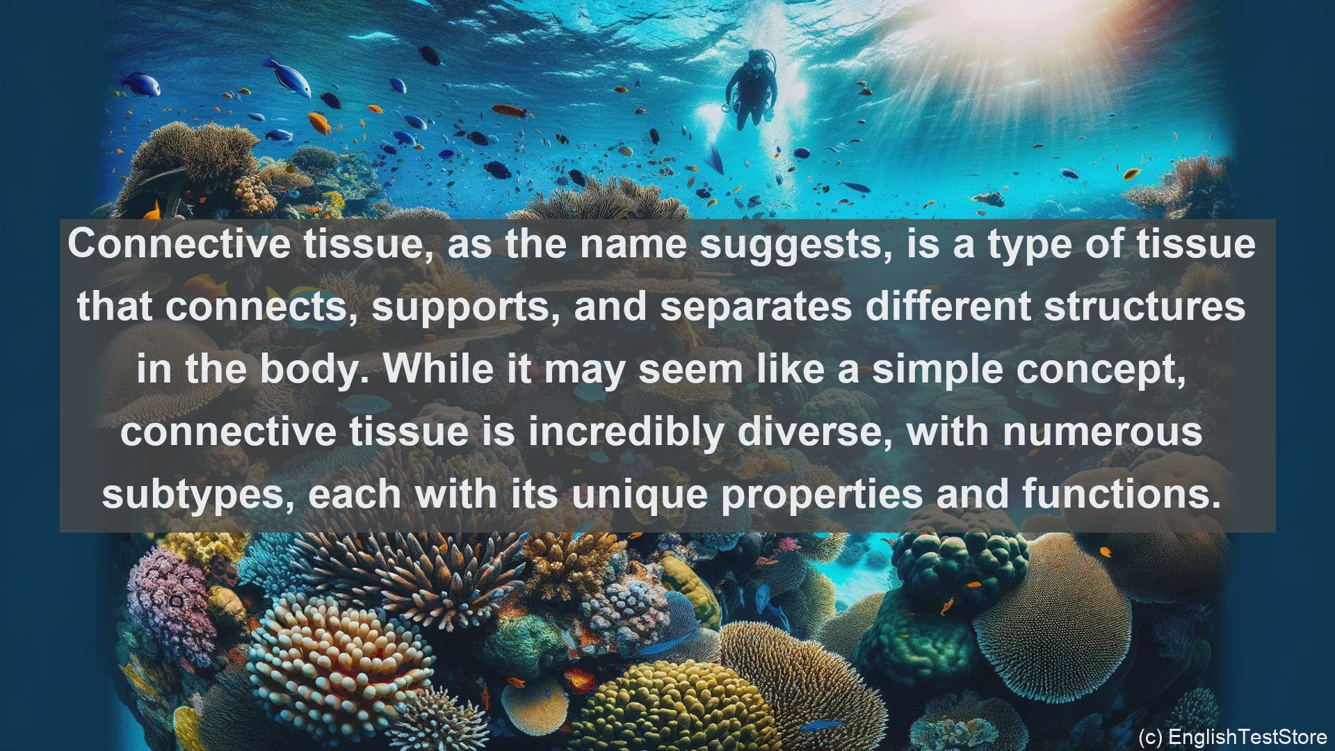 'Video thumbnail for Connective tissue in science  definition and examples'