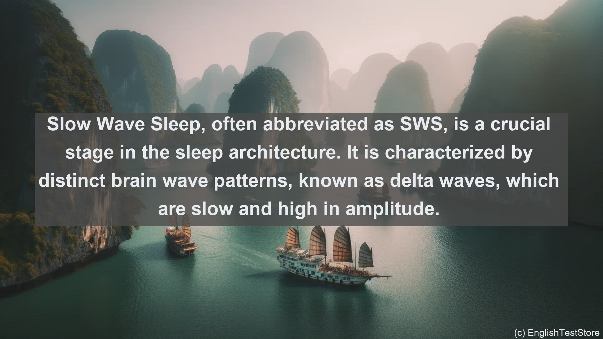 'Video thumbnail for Slow wave sleep in science  definition and examples'