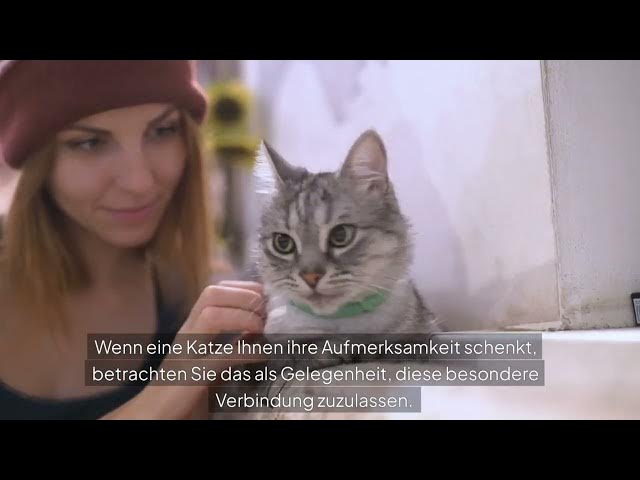Video thumbnail for Warum suchen Katzen die Nähe von Menschen, die sie nicht mögen?