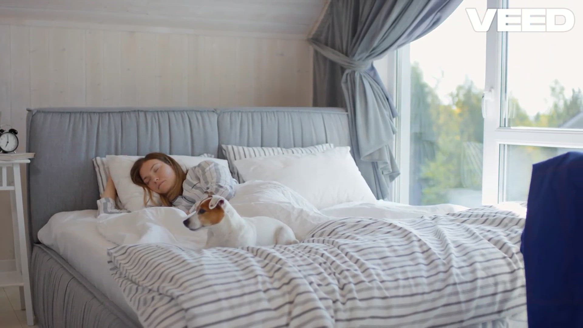 'Video thumbnail for Ultimate Guide to Choosing Dog Beds!'