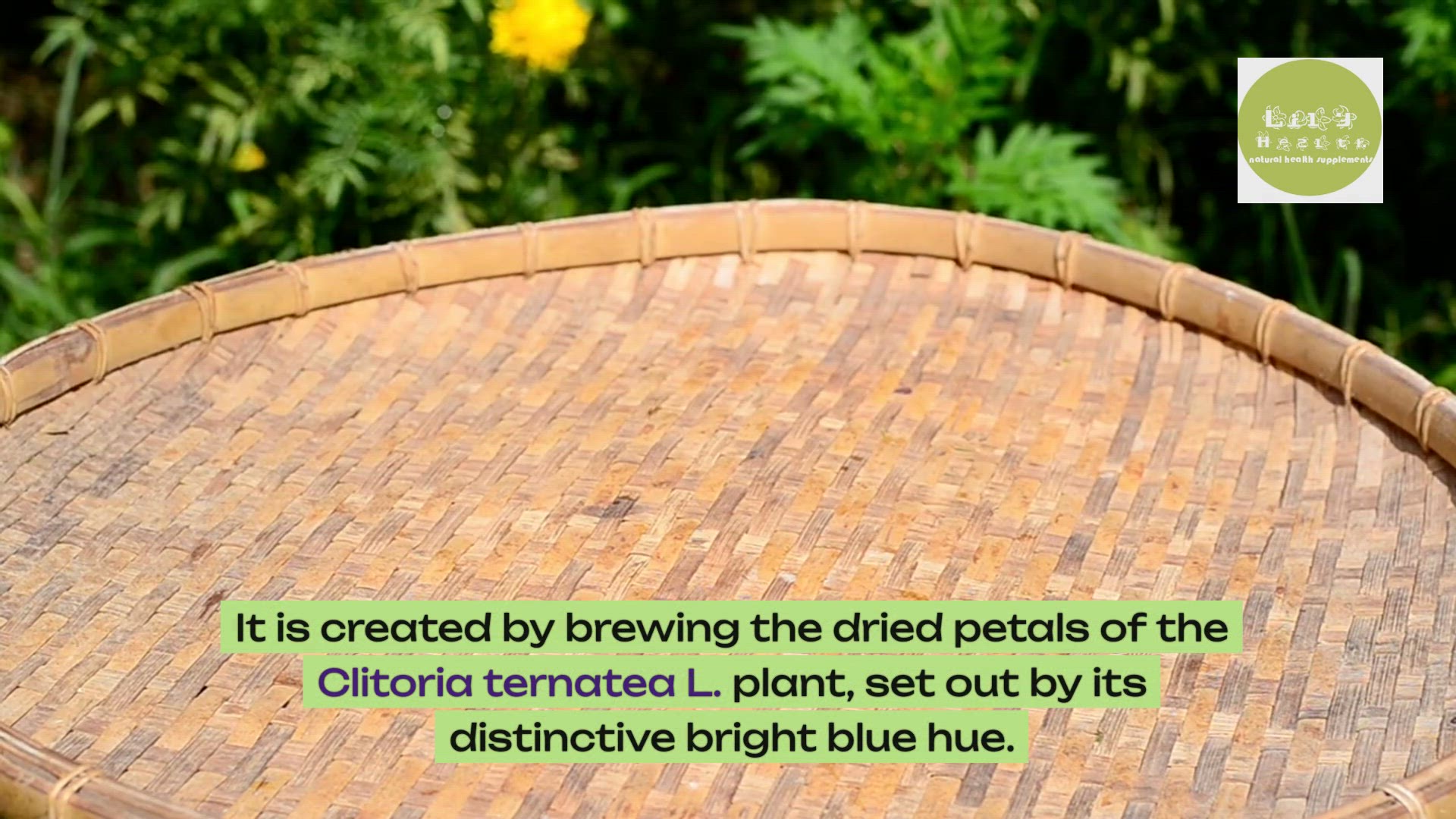 'Video thumbnail for Transform Your Tea Time: Discover the Ultimate Alternative to Butterfly Pea Flower Tea'