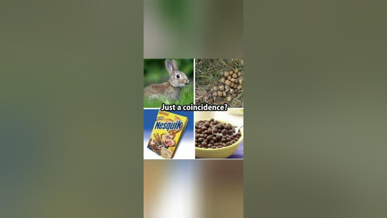 'Video thumbnail for funny memes that will make you laugh #312 || legend memes || funny relatable memes 😃 #shorts'