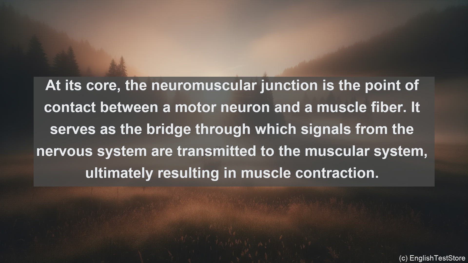 'Video thumbnail for Neuromuscular junction in science  definition and examples'