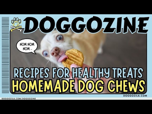 'Video thumbnail for Homemade Recipes for Dog Chews and Treats'