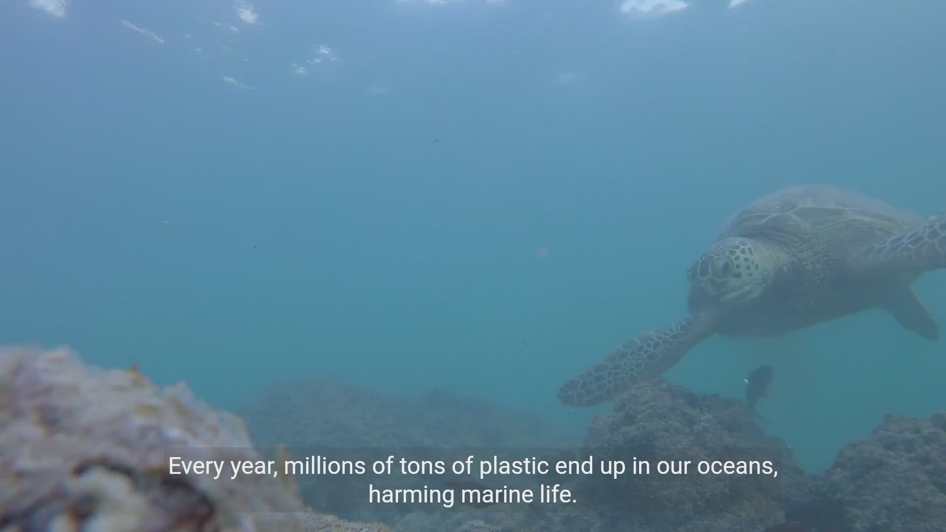 'Video thumbnail for The Impact of Plastic Waste on Our Environment'
