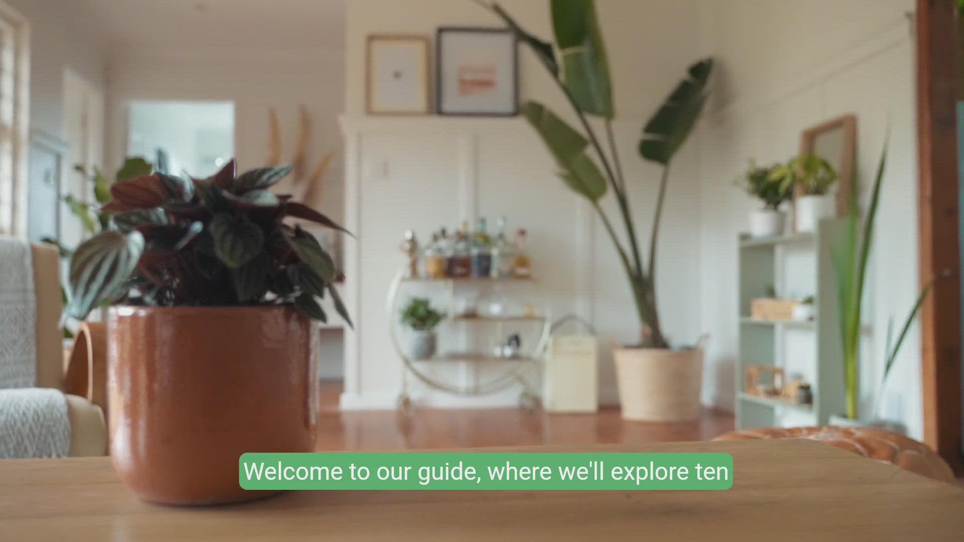 'Video thumbnail for 10 Stunning Couch Colors That Match Dark Wood Flooring'
