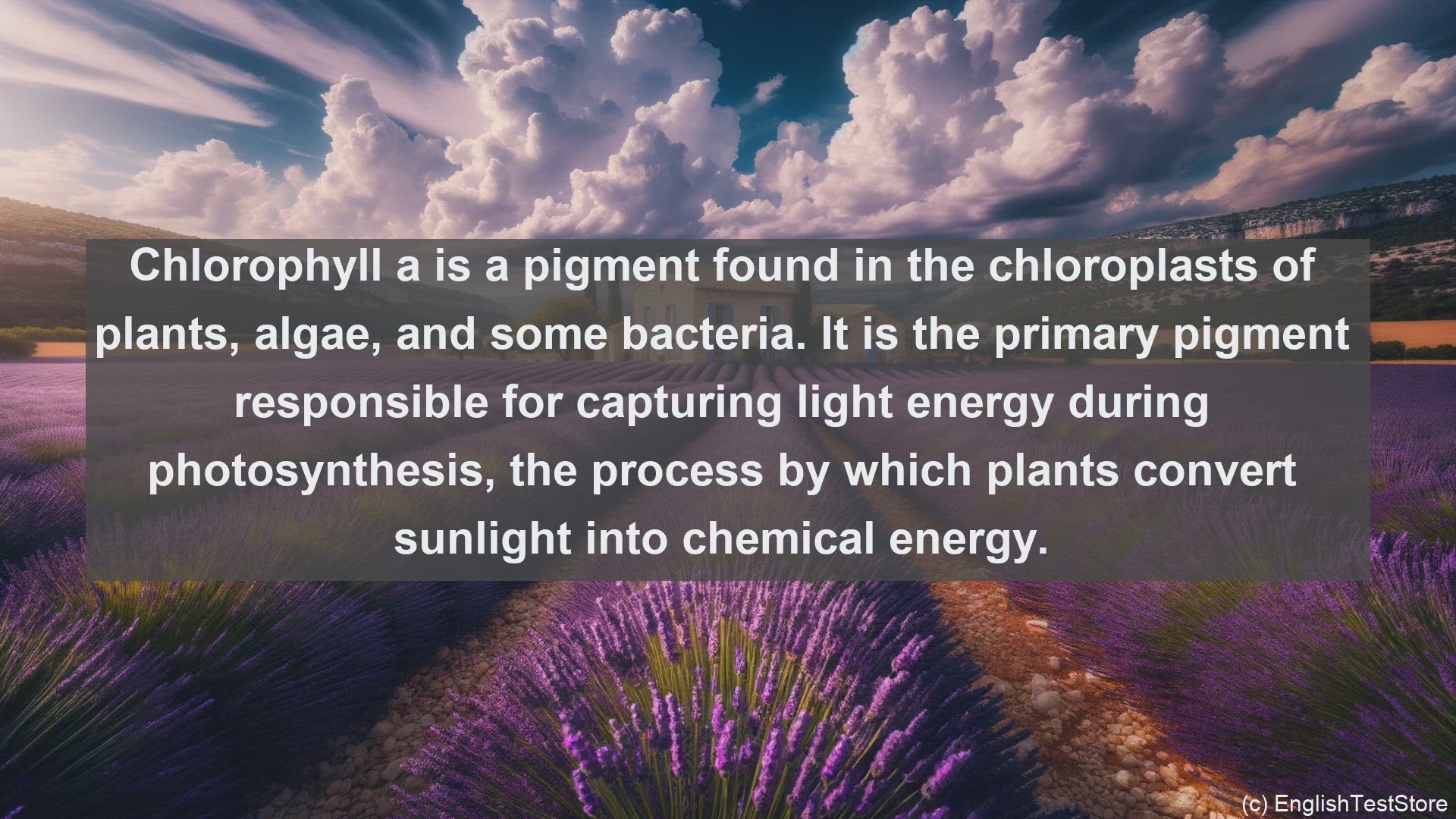 'Video thumbnail for Chlorophyll a in science  definition and examples'
