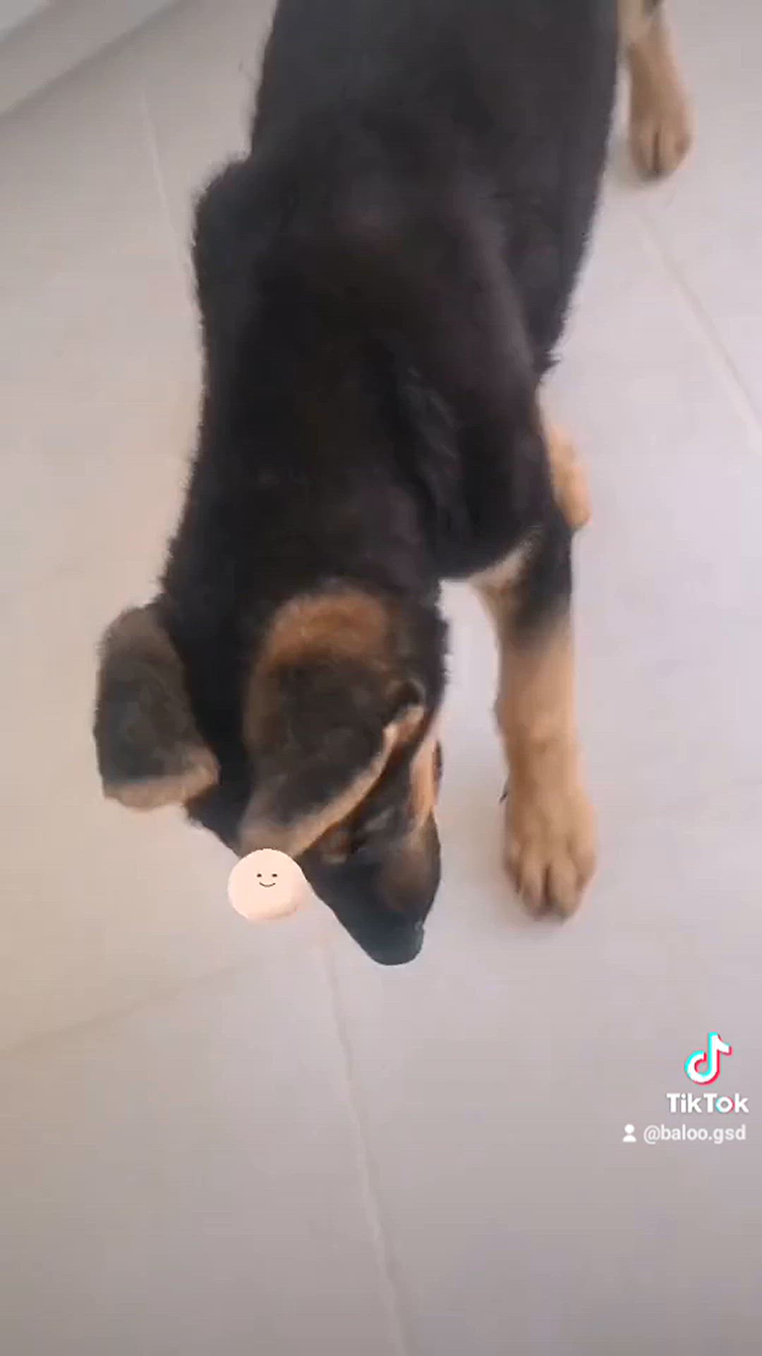 'Video thumbnail for Baloo-star.com'