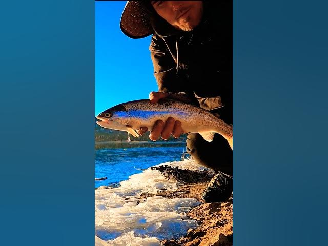 Video thumbnail for Thank You Big Bear Lake 🎣🤙