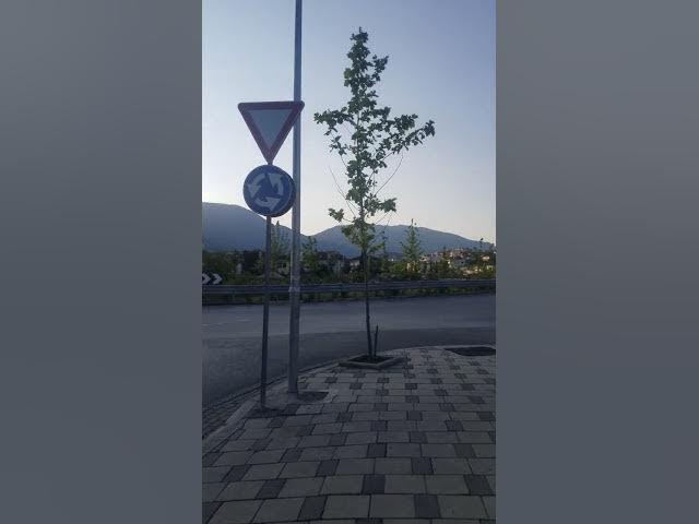 Video thumbnail for Lindja e diellit - Tirane Qershor 2023