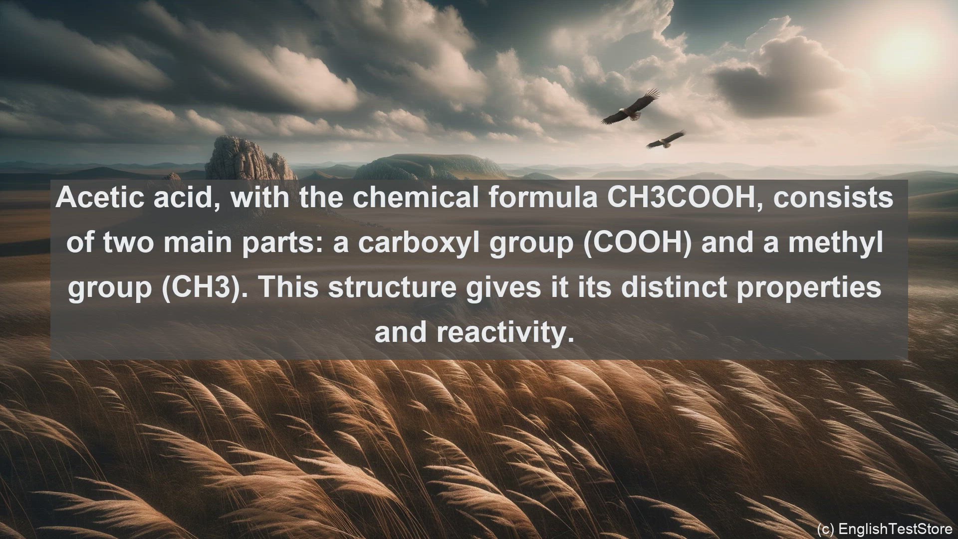 'Video thumbnail for Acetic acid in science  definition and examples'