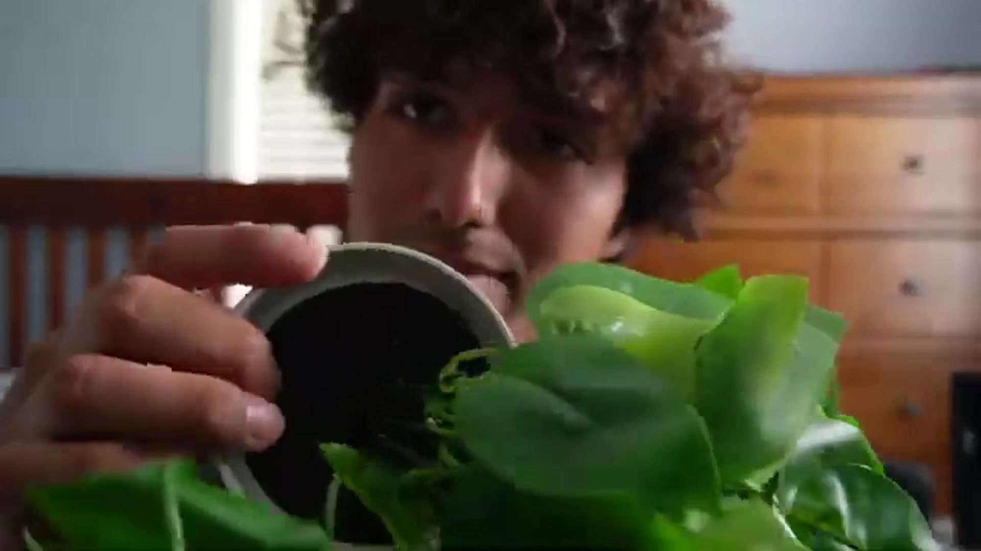 'Video thumbnail for BLEUM CADE Fake Hanging Plants Kit Review'