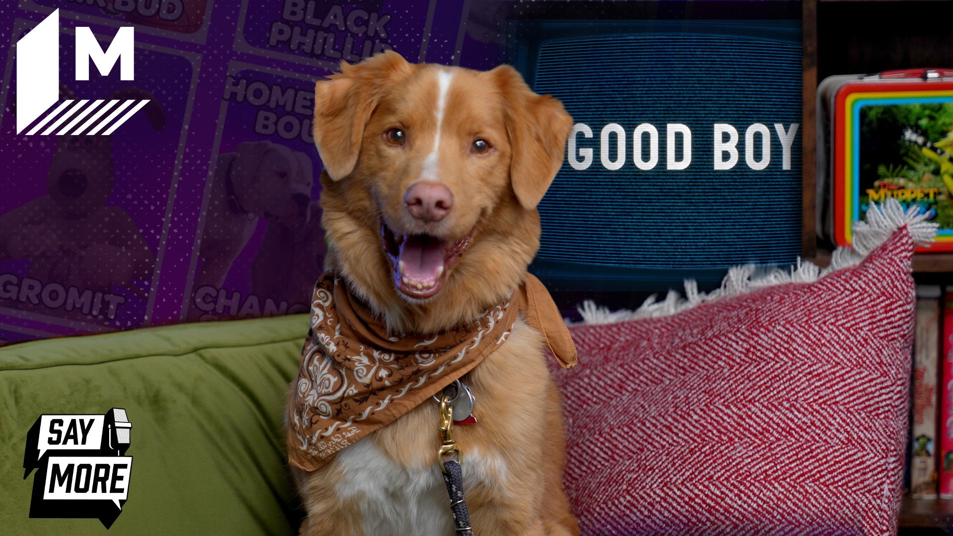 Video thumbnail for 'Good Boy's dog, Indy, and filmmakers play Choose Your Squad
