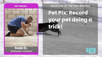 Video thumbnail for Sean has a very impressive cat impression. Very... interesting!