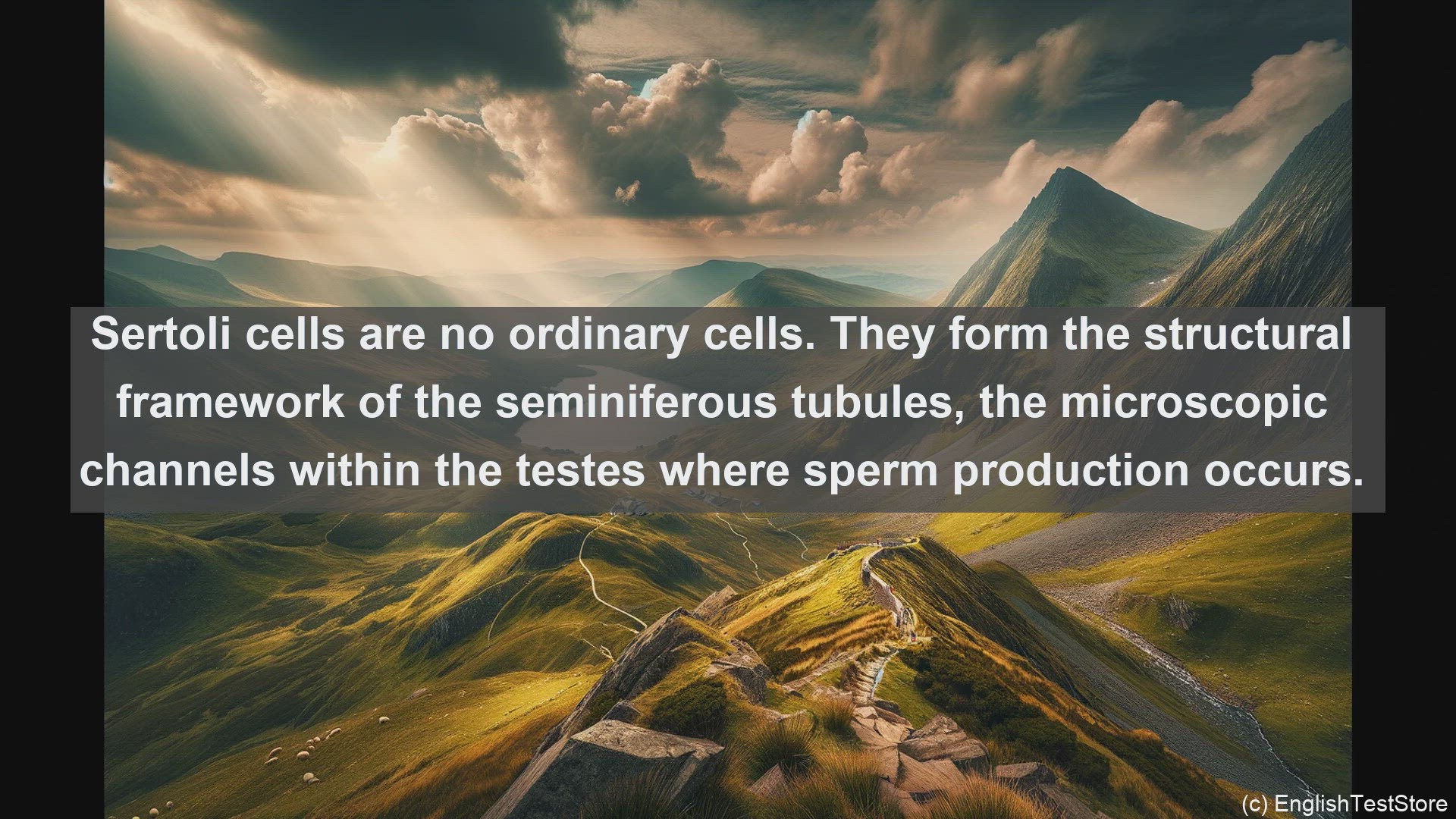 'Video thumbnail for Sertoli cells in science  definition and examples'