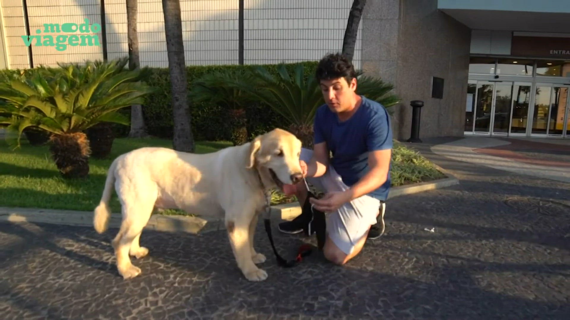 'Video thumbnail for Sorvete Para Cachorro: Uma Experiência Gelada e Deliciosa! 🐕🍦✨'
