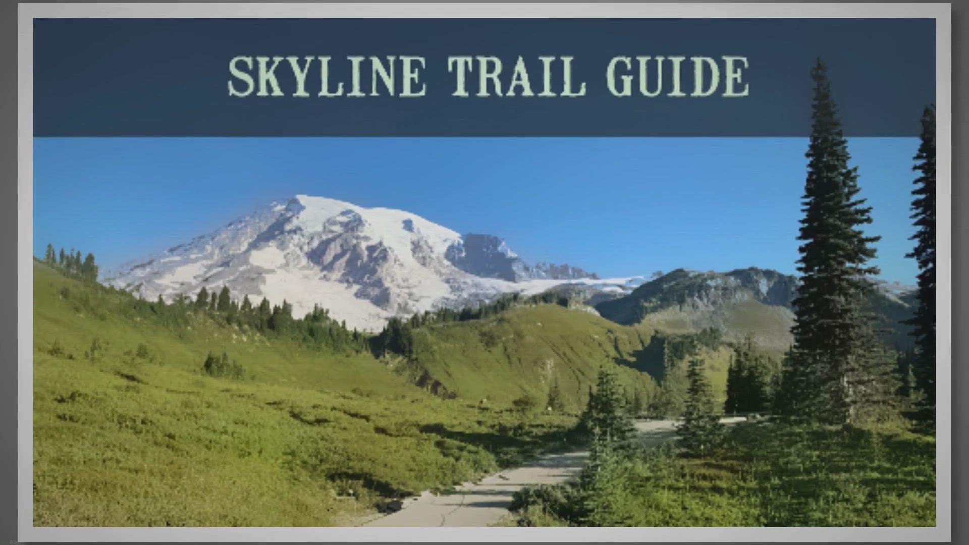 10 Things You Can't Miss On Your First Visit to Mount Rainier - Dirt In My  Shoes