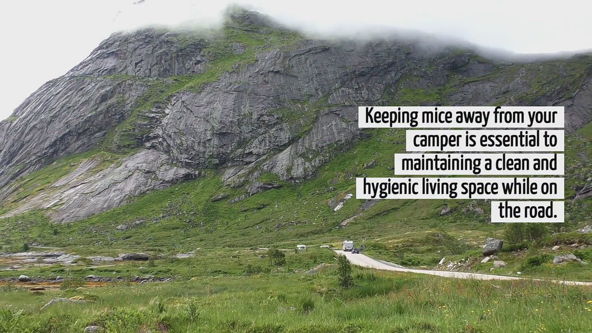 Video thumbnail for How To Keep Mice Away From Camper