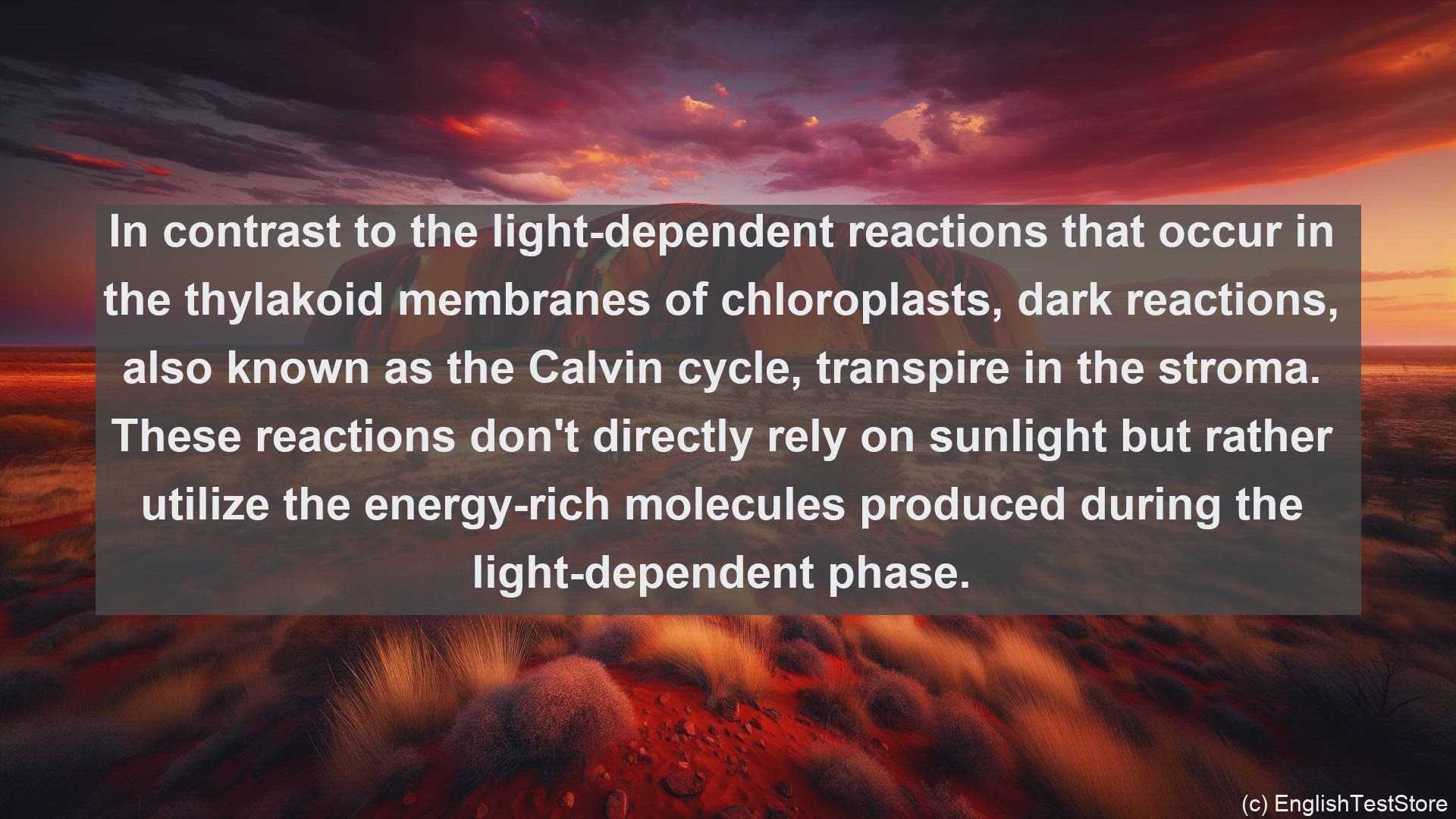 'Video thumbnail for Dark reaction in science  definition and examples'